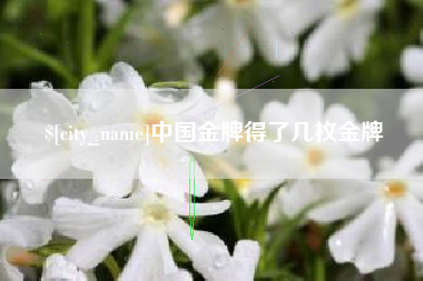 固原中国金牌得了几枚金牌