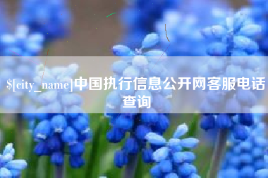 固原中国执行信息公开网客服电话查询