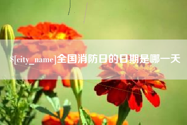 固原全国消防日的日期是哪一天
