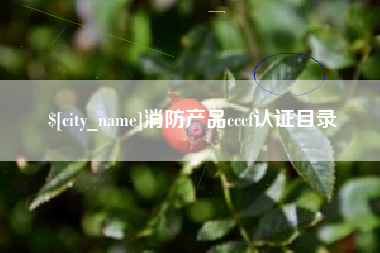 固原消防产品cccf认证目录