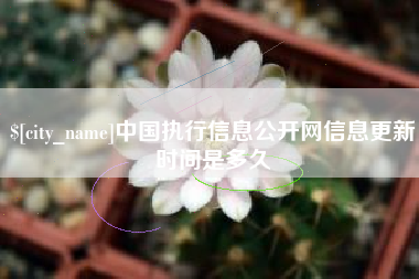 固原中国执行信息公开网信息更新时间是多久
