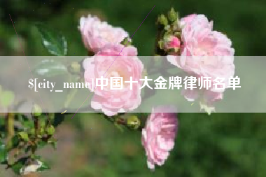 固原中国十大金牌律师名单