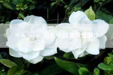 固原现在中国金牌是多少