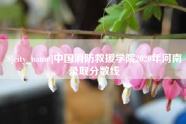 固原中国消防救援学院2020年河南录取分数线