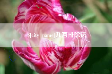 固原九宫排除法