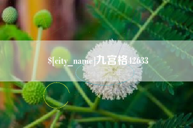 固原九宫格42633