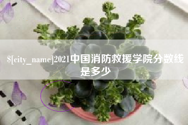 固原2021中国消防救援学院分数线是多少