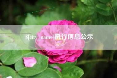 固原执行信息公示