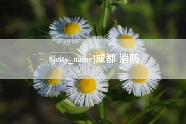 固原成都 消防