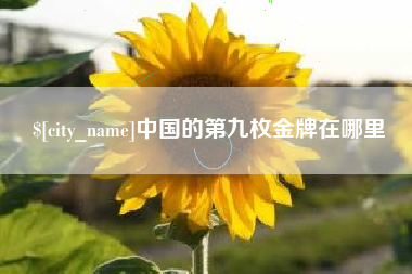 固原中国的第九枚金牌在哪里
