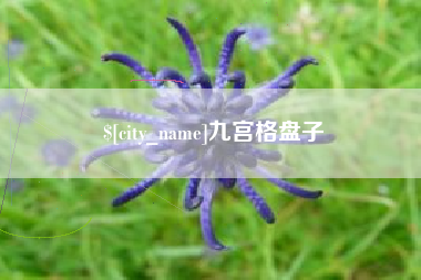 固原九宫格盘子