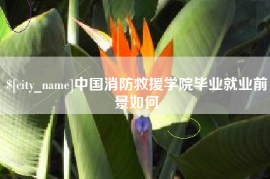固原中国消防救援学院毕业就业前景如何