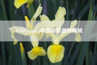 固原中国消防器材商城