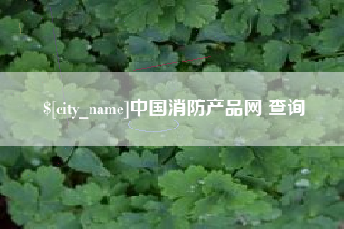 固原中国消防产品网 查询