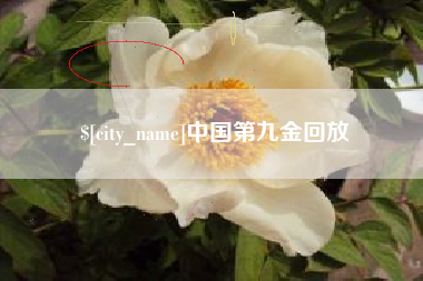固原中国第九金回放