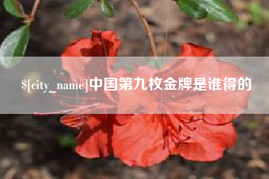 固原中国第九枚金牌是谁得的