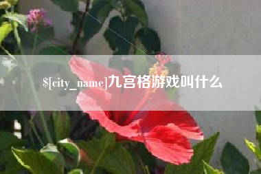 固原九宫格游戏叫什么