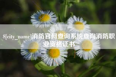固原消防官网查询系统查询消防职业资格证书