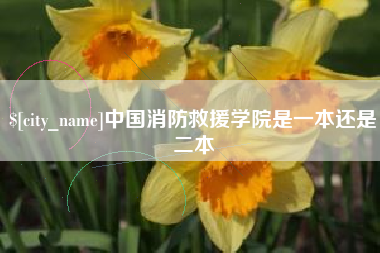 固原中国消防救援学院是一本还是二本