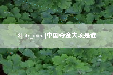 固原中国夺金大项是谁