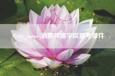 固原消防救援学院报考条件