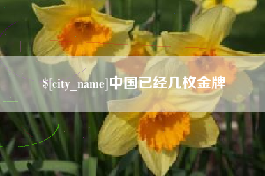 固原中国已经几枚金牌