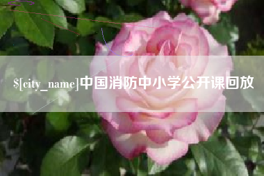 固原中国消防中小学公开课回放