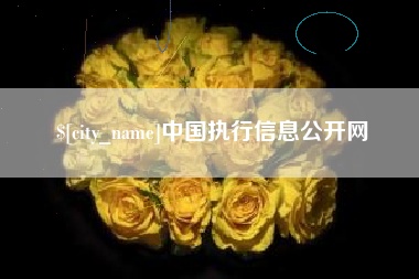 固原中国执行信息公开网