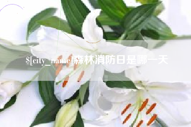 固原森林消防日是哪一天