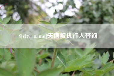 固原失信被执行人杳询