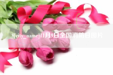 固原11月9日全国消防日图片