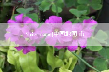 固原中国地图 市