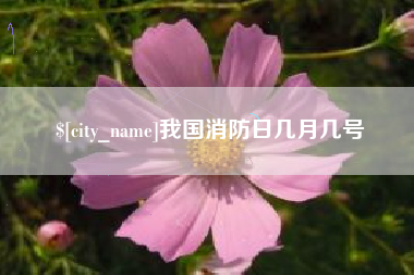 固原我国消防日几月几号