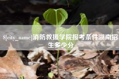 固原消防救援学院报考条件湖南招生多少分