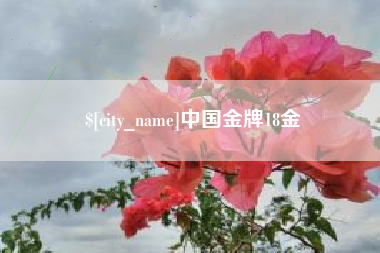 固原中国金牌18金