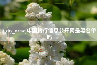 固原中国执行信息公开网是黑名单吗