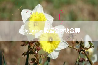 固原奥运会39块金牌