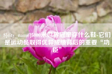 固原5000米世界冠军穿什么鞋-它们是运动员取得优异成绩背后的重要“功臣”
