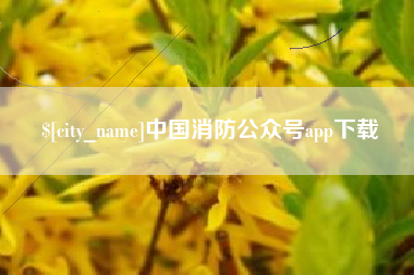 固原中国消防公众号app下载