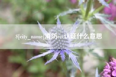 固原消防ccc认证什么意思