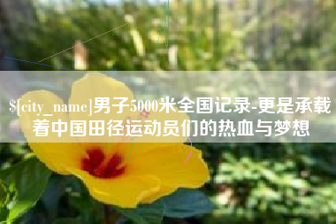 固原男子5000米全国记录-更是承载着中国田径运动员们的热血与梦想