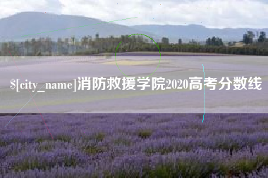 固原消防救援学院2020高考分数线