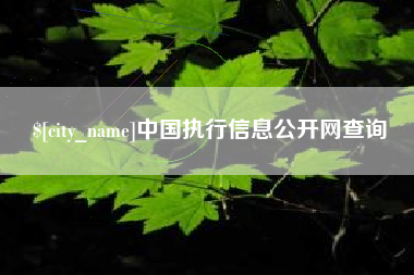 固原中国执行信息公开网查询
