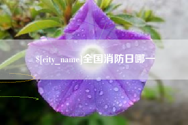 固原全国消防日哪一