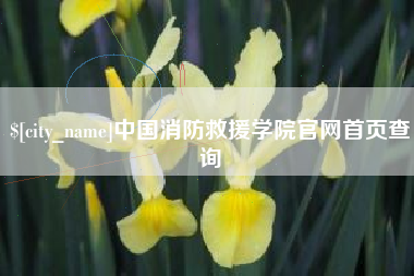 固原中国消防救援学院官网首页查询