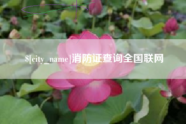 固原消防证查询全国联网