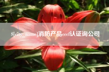 固原消防产品cccf认证询公司