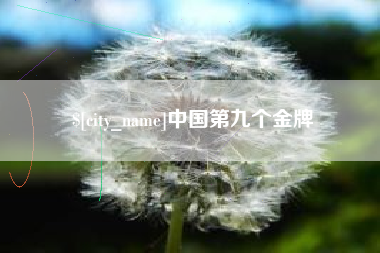 固原中国第九个金牌