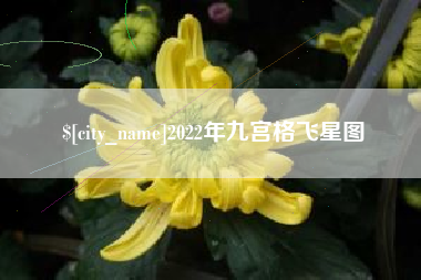固原2022年九宫格飞星图