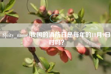 固原我国的消防日是每年的11月9日对吗？